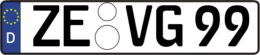 ZE-VG99