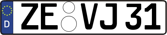 ZE-VJ31