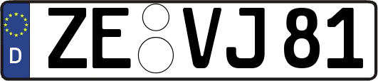 ZE-VJ81
