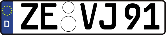 ZE-VJ91
