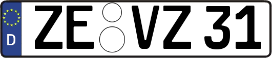 ZE-VZ31