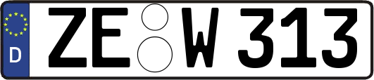 ZE-W313