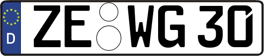 ZE-WG30