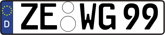 ZE-WG99