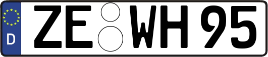 ZE-WH95