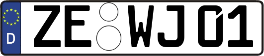 ZE-WJ01