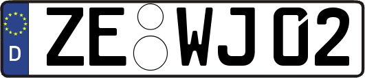 ZE-WJ02