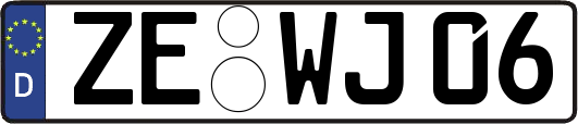 ZE-WJ06