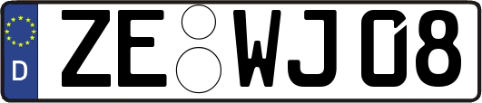 ZE-WJ08