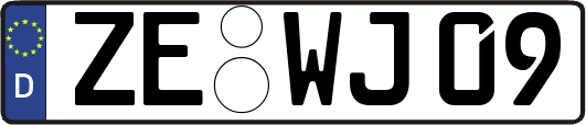 ZE-WJ09