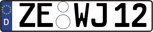 ZE-WJ12