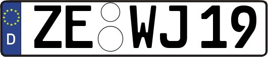 ZE-WJ19