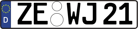 ZE-WJ21