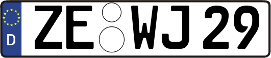 ZE-WJ29