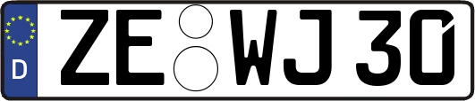 ZE-WJ30