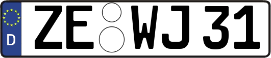 ZE-WJ31