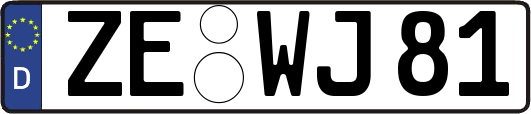 ZE-WJ81