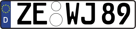 ZE-WJ89