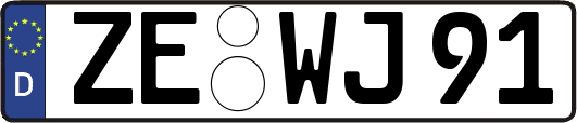 ZE-WJ91