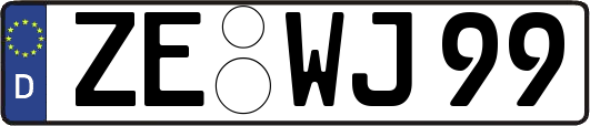 ZE-WJ99