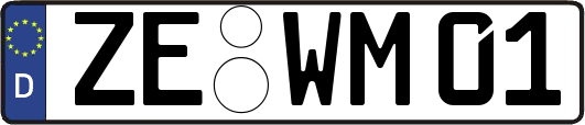 ZE-WM01