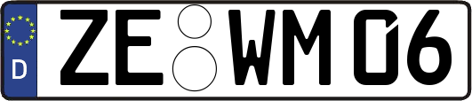 ZE-WM06