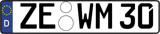 ZE-WM30