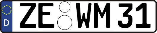 ZE-WM31
