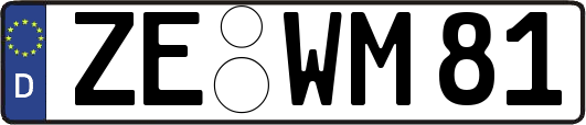 ZE-WM81