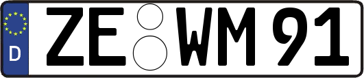 ZE-WM91