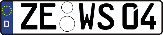 ZE-WS04