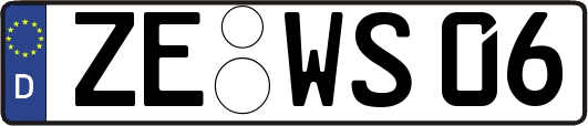 ZE-WS06