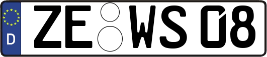 ZE-WS08