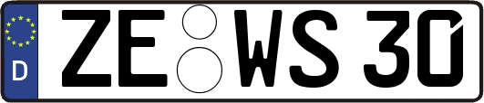 ZE-WS30