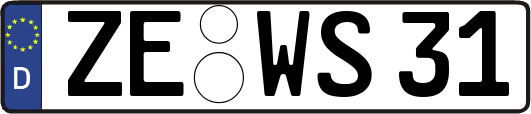 ZE-WS31