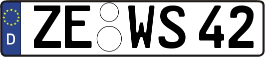 ZE-WS42