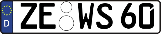 ZE-WS60