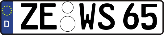 ZE-WS65