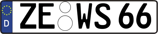 ZE-WS66