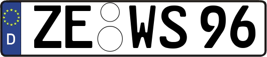 ZE-WS96