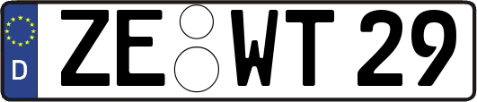 ZE-WT29