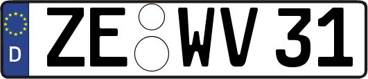ZE-WV31