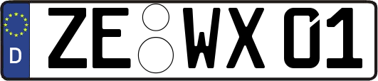 ZE-WX01
