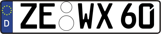 ZE-WX60