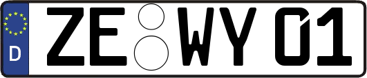 ZE-WY01
