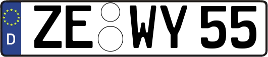 ZE-WY55