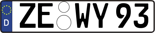 ZE-WY93