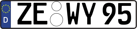 ZE-WY95