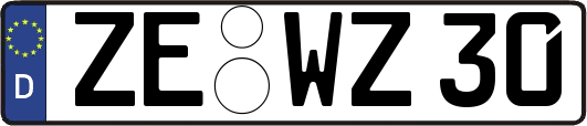 ZE-WZ30