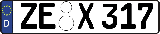 ZE-X317